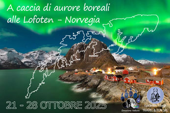 Aurore boreali alle Lofoten